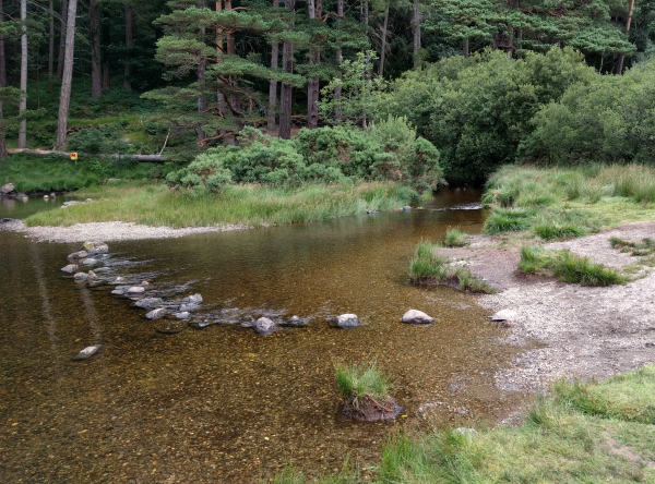 Upper Lake 5, Glendalough, Ireland - taken 7.24.16 by FF