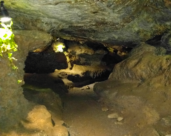 badgers-cave-blarney-castle-ireland-taken-8-13-16-by-ff