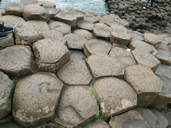 basalt-column-2-giants-causeway-northern-ireland-taken-7-30-16-by-ff