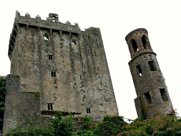 east-wall-blarney-castle-ireland-taken-8-13-16-by-ff