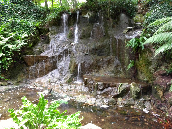 fern-garden-waterfall-blarney-castle-ireland-taken-8-13-16-by-ff