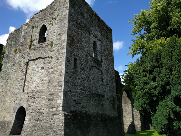 geraldine-castle-1-maynooth-ireland-taken-8-19-16-by-ff