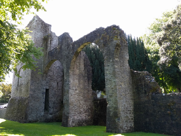 geraldine-castle-3-maynooth-ireland-taken-8-19-16-by-ff