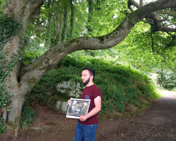 hanging-tree-castle-ward-estate-northern-ireland-taken-7-31-16-by-ff