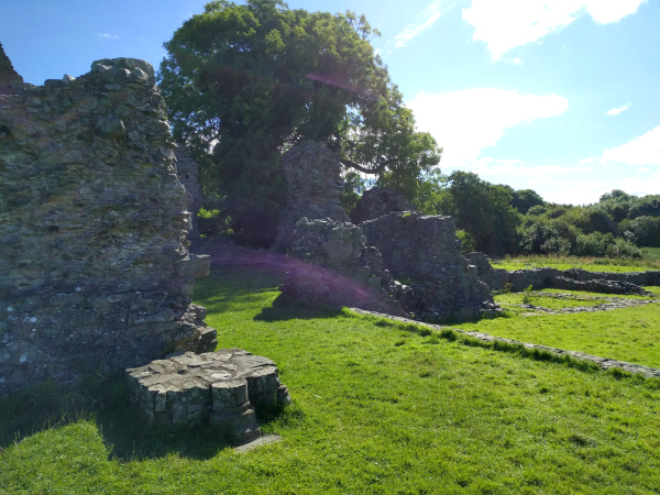 inch-abbey-2-northern-ireland-taken-7-31-16-by-ff