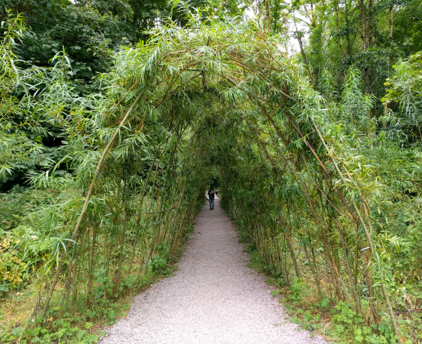 living-tunnel-blarney-castle-ireland-taken-8-13-16-by-ff