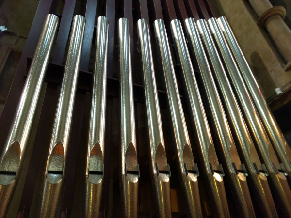 organ-1-st-fin-barres-cathedral-cork-ireland-taken-8-13-16-by-ff