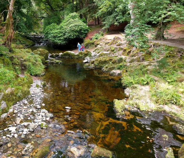 shimna-river-1-tollymore-forest-northern-ireland-taken-7-31-16-by-ff