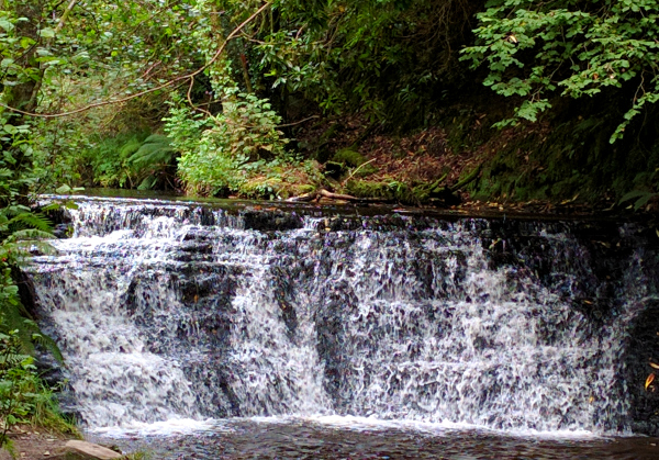 stream-glencar-waterfall-ireland-taken-8-27-16-by-ff